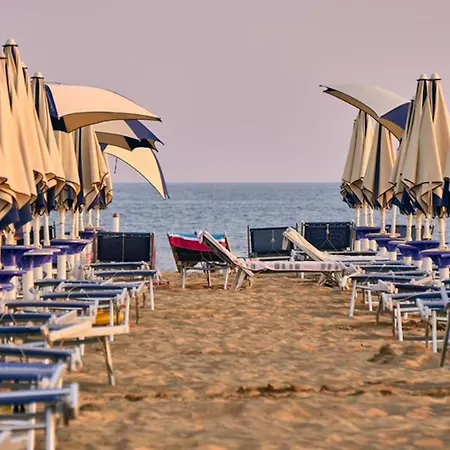 Vacation In Close To The *
